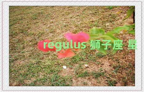 regulus 狮子座 星